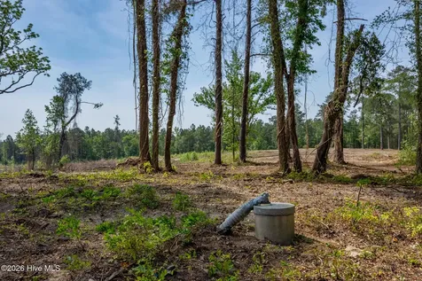 935 Mcgill Road Vass NC 28394