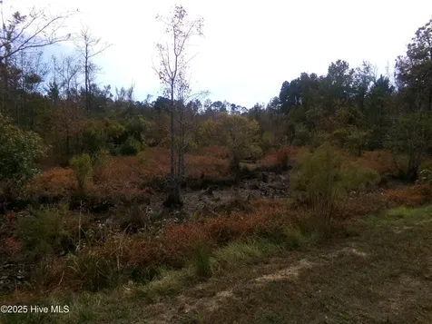 Lot 44964 Big Island Road White Oak NC 28399