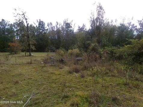 Lot 44964 Big Island Road White Oak NC 28399