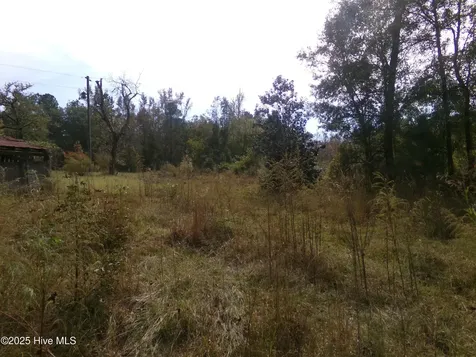 Lot 44964 Big Island Road White Oak NC 28399