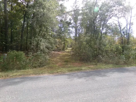 Lot 44964 Big Island Road White Oak NC 28399