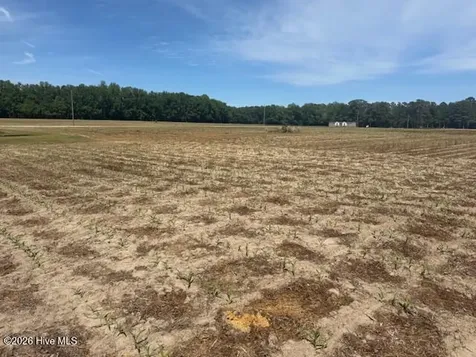 LOT#0 Near 1773 Midway Drive Whiteville NC 28472