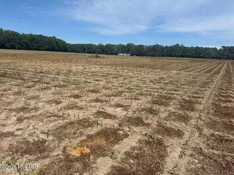 LOT#0 Near 1773 Midway Drive Whiteville NC 28472