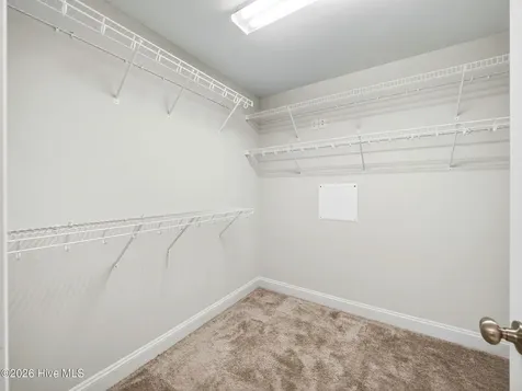 519 White Shoal Way Sneads Ferry NC 28460