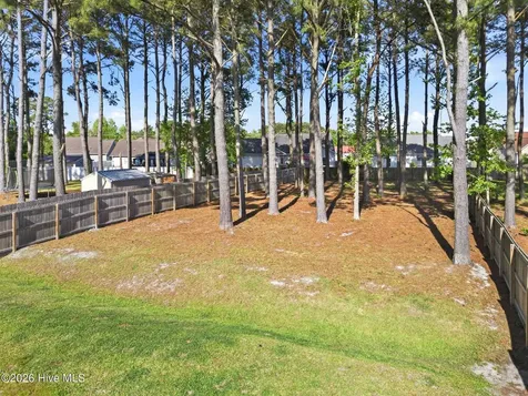 519 White Shoal Way Sneads Ferry NC 28460