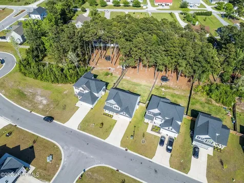 519 White Shoal Way Sneads Ferry NC 28460