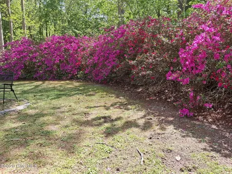 100 Longhorn Drive Moyock NC 27958