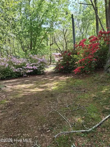 100 Longhorn Drive Moyock NC 27958