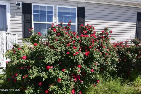 21 Grape Vine Landing Columbia NC 27925