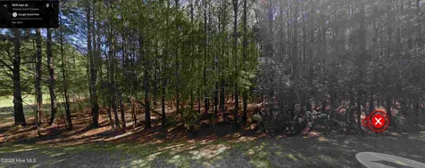 9219 Hart Drive Oriental NC 28571