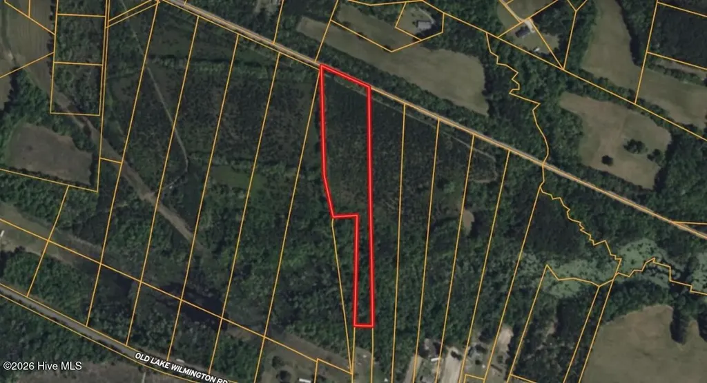 0 Near 11835 Old Lake Riegelwood NC 28456