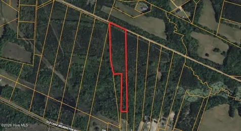 0 Near 11835 Old Lake Riegelwood NC 28456