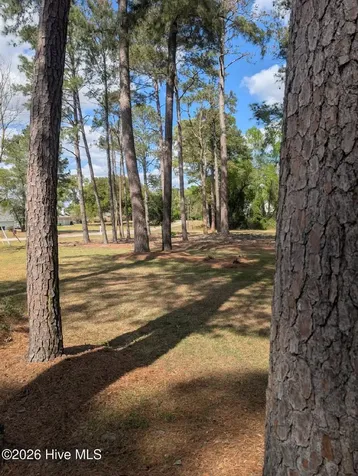 301 Fork Lake Drive Clinton NC 28328