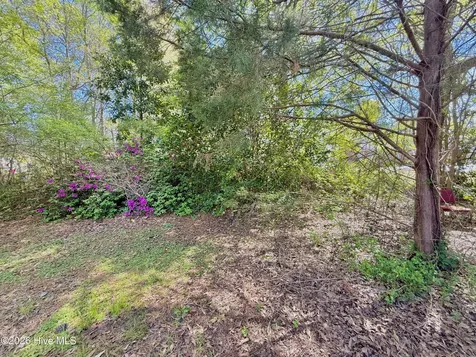 513 E Main Street Plymouth NC 27962