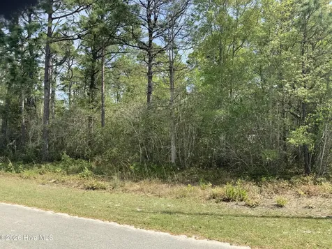 1434 Mockingbird Place SW Shallotte NC 28470