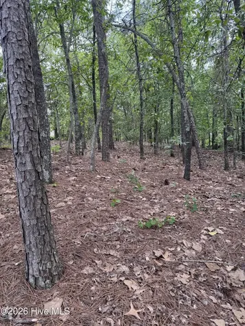 148 Otter Drive Seven Lakes NC 27376