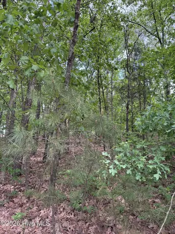 148 Otter Drive Seven Lakes NC 27376