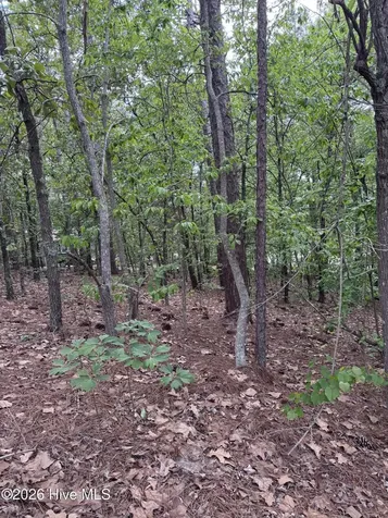 148 Otter Drive Seven Lakes NC 27376