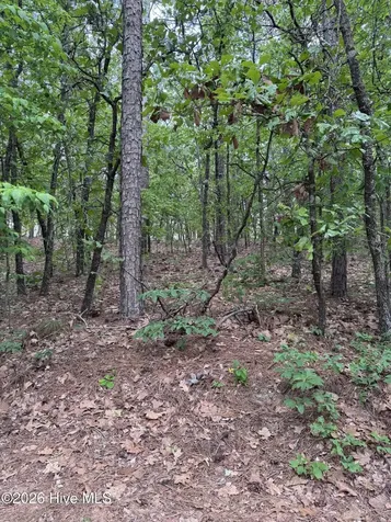 148 Otter Drive Seven Lakes NC 27376
