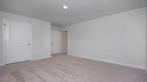 1057 Pampas Grass Drive Castle Hayne NC 28429