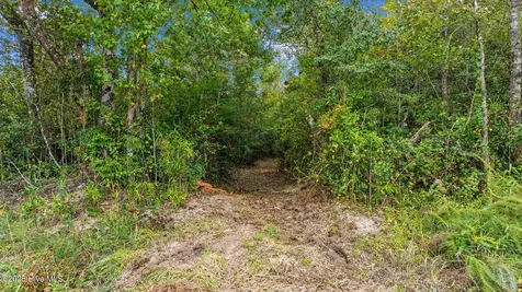36AC Near 323 Indigo Flats Road W Tabor City NC 28463