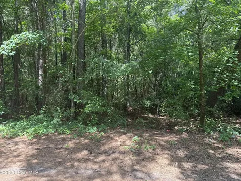 0 Herring Loop Road Wallace NC 28466