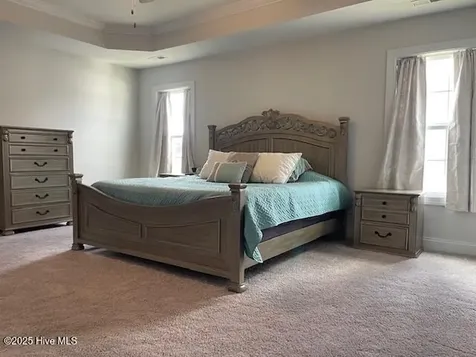 510 White Shoal Way Sneads Ferry NC 28460