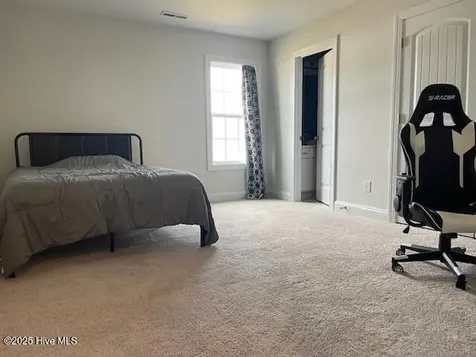 510 White Shoal Way Sneads Ferry NC 28460