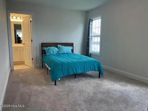 510 White Shoal Way Sneads Ferry NC 28460
