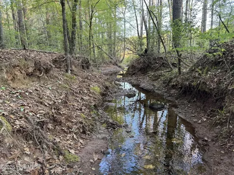 0 Cartledge Creek Road Rockingham NC 28379