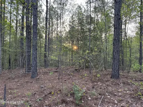 0 Cartledge Creek Road Rockingham NC 28379