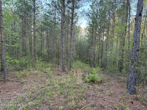0 Cartledge Creek Road Rockingham NC 28379