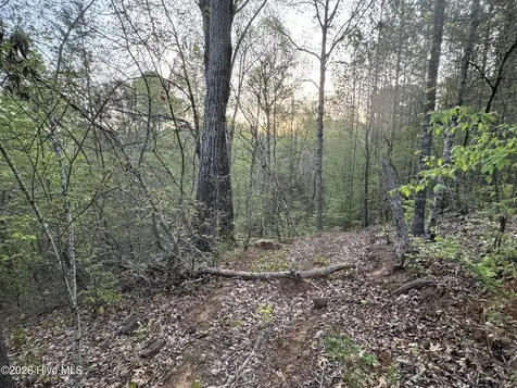 0 Cartledge Creek Road Rockingham NC 28379