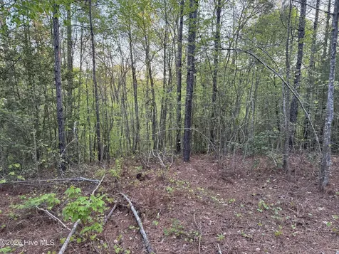 0 Cartledge Creek Road Rockingham NC 28379