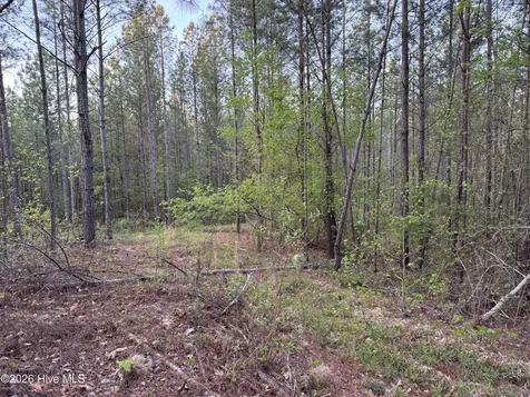 0 Cartledge Creek Road Rockingham NC 28379