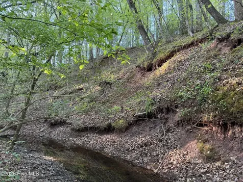 0 Cartledge Creek Road Rockingham NC 28379