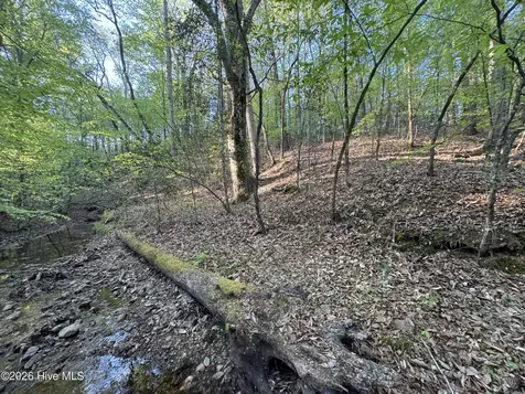 0 Cartledge Creek Road Rockingham NC 28379