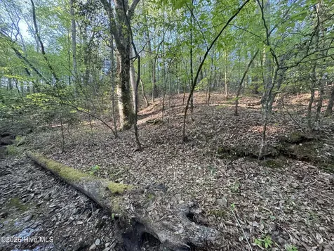 0 Cartledge Creek Road Rockingham NC 28379