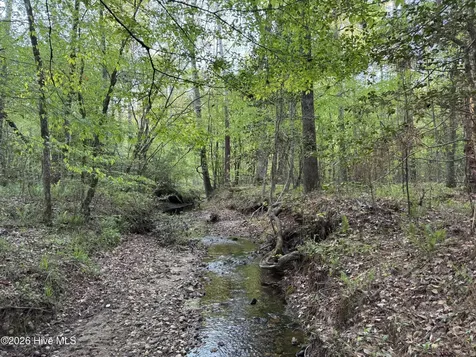 0 Cartledge Creek Road Rockingham NC 28379
