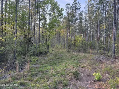 0 Cartledge Creek Road Rockingham NC 28379