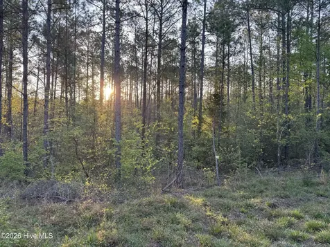 0 Cartledge Creek Road Rockingham NC 28379