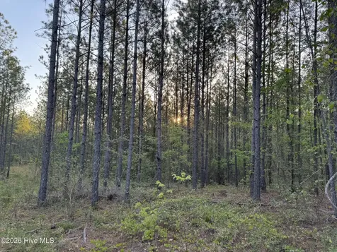 0 Cartledge Creek Road Rockingham NC 28379