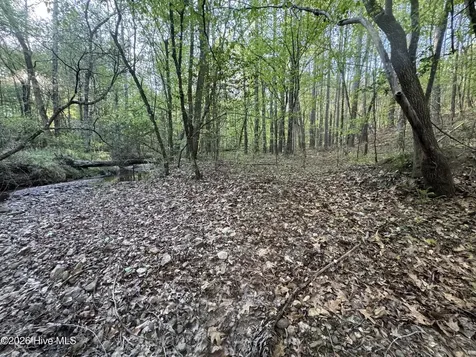 0 Cartledge Creek Road Rockingham NC 28379
