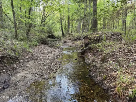 0 Cartledge Creek Road Rockingham NC 28379