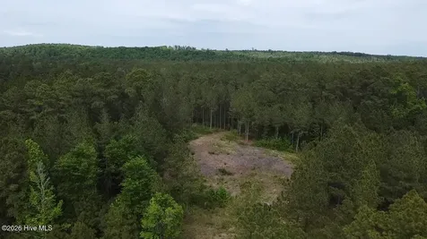 0 Cartledge Creek Road Rockingham NC 28379