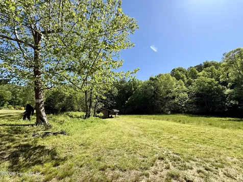 1038 Blackburn Hollow Road Purlear NC 28665