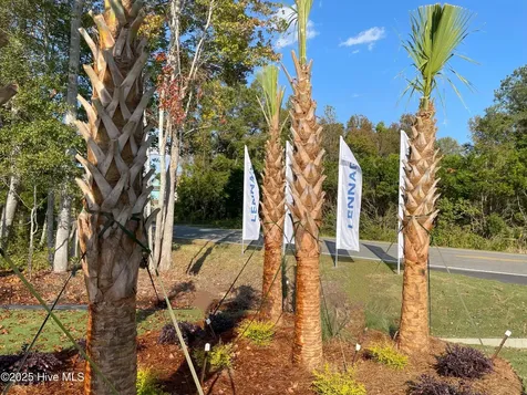 3411 Wood Stork Drive Ocean Isle Beach NC 28469