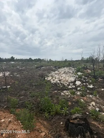 Tbd Tarry Church Road Star NC 27356
