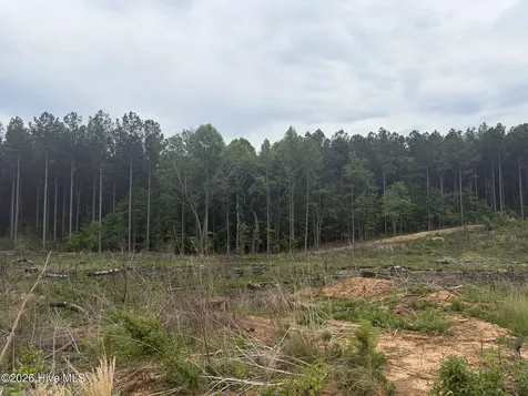 Tbd Tarry Church Road Star NC 27356