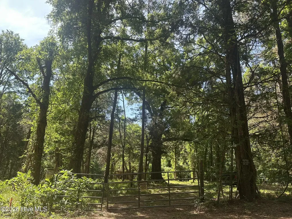 Lot 4 Saggus Road Washington GA 30673
